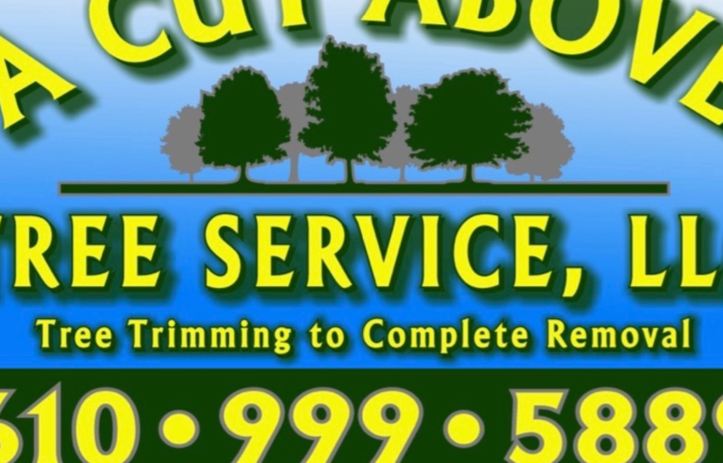 Ricks Expert Tree Service - – Tree Services in Bucks County, PA